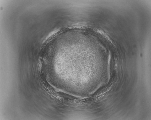 X0000059101350200510211622