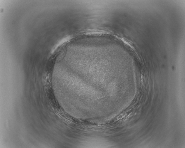 X0000059101351200510211622