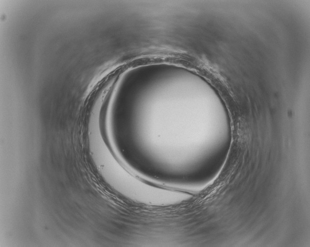 X0000059101352200510211622