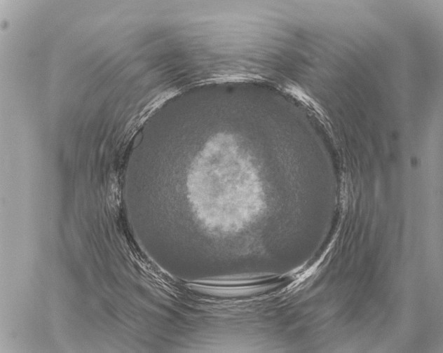 X0000059101353200510211622