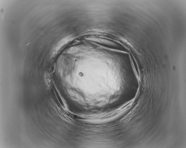 X0000059101355200510211622