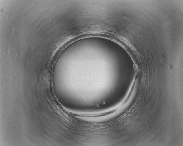 X0000059101356200510211622