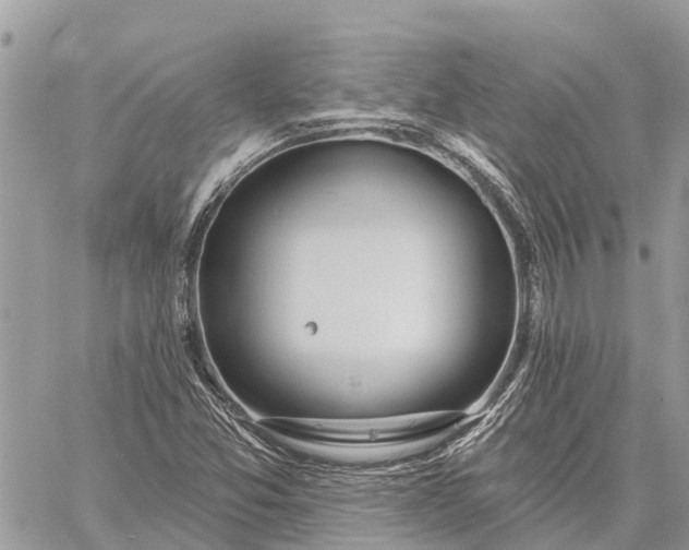 X0000059101357200510211622