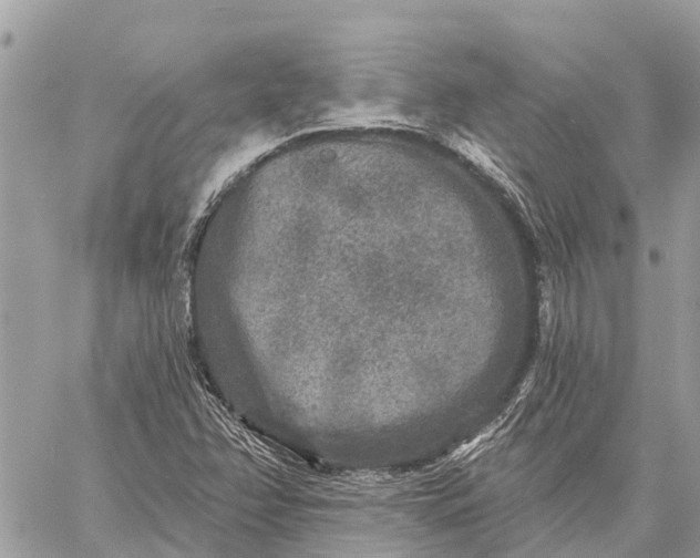 X0000059101358200510211622