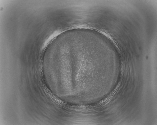 X0000059101359200510211622