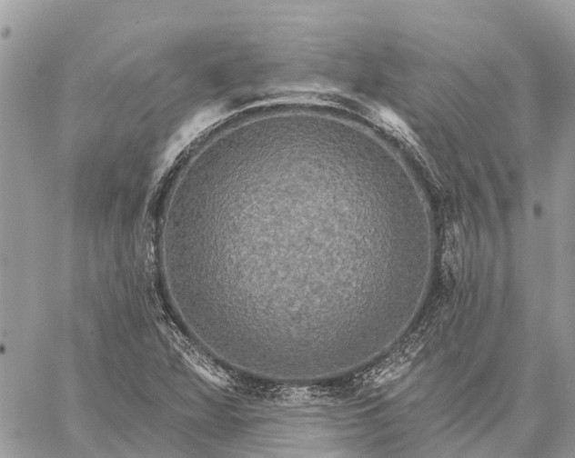 X0000059101360200510211622