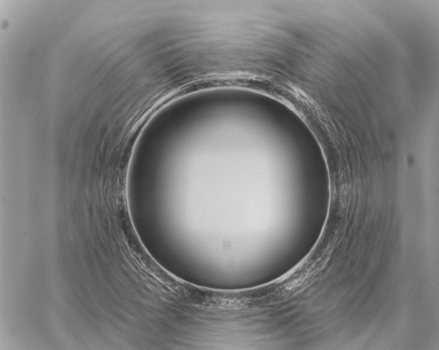 X0000059101361200510211622