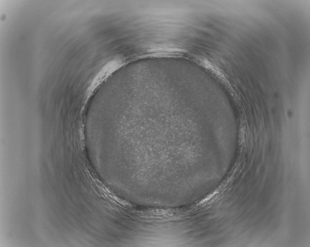 X0000059101362200510211622