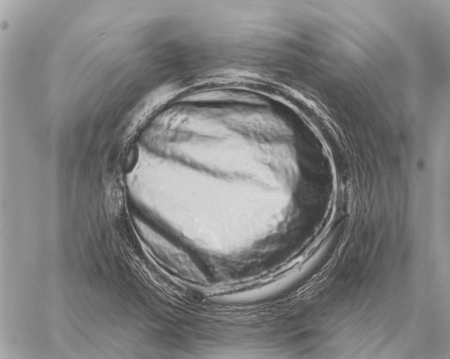 X0000059101363200510211622