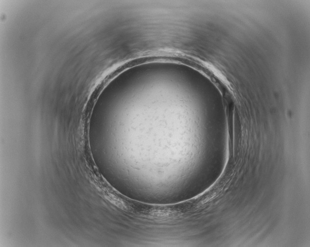 X0000059101364200510211622