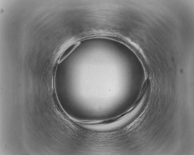 X0000059101365200510211622