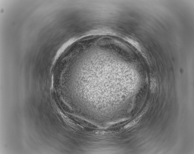 X0000059101366200510211622