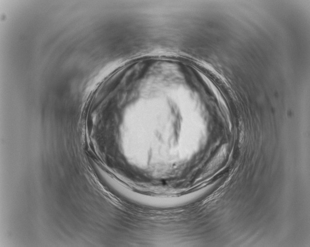 X0000059101367200510211622