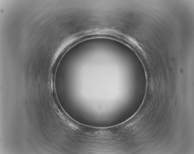 X0000059101368200510211622