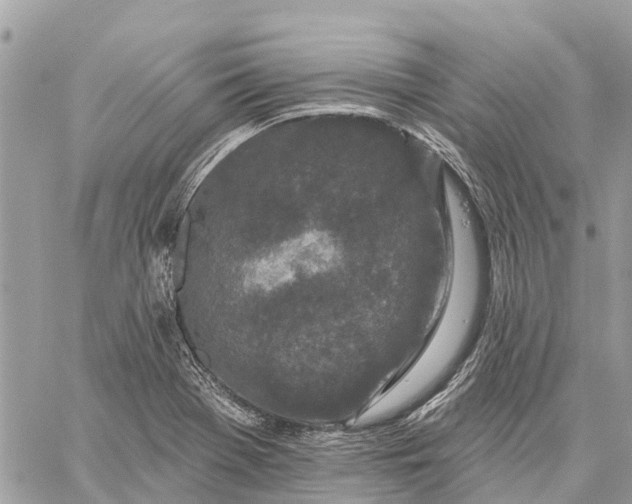 X0000059101369200510211622