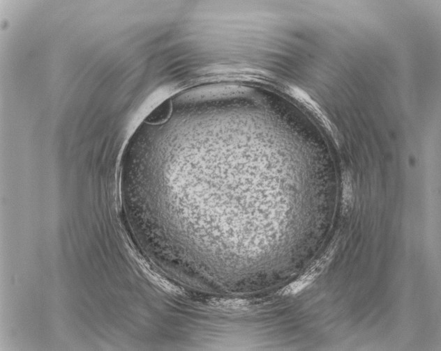 X0000059101370200510211622