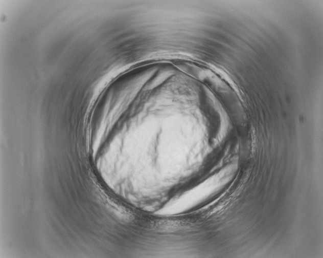 X0000059101371200510211622