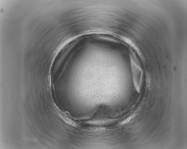 X0000059101372200510211622