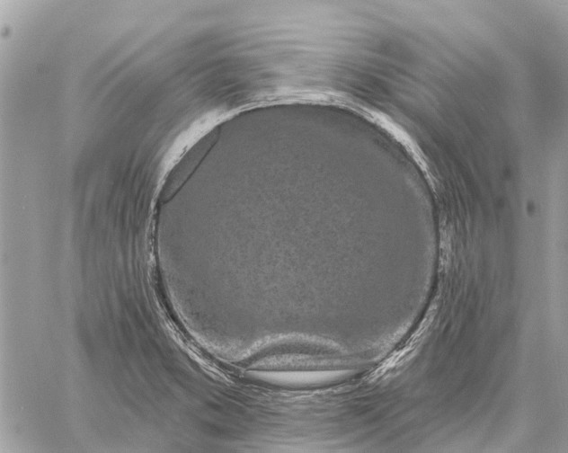 X0000059101373200510211621