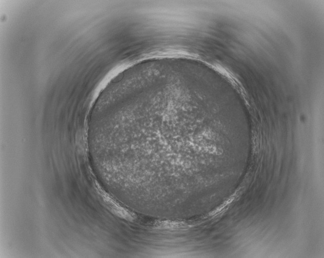 X0000059101374200510211621