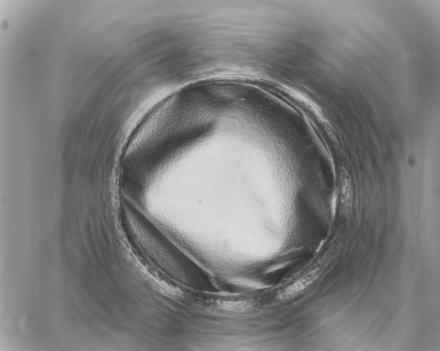 X0000059101375200510211621