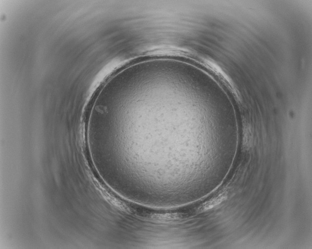 X0000059101376200510211621