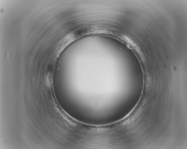 X0000059101377200510211621