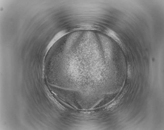 X0000059101378200510211621