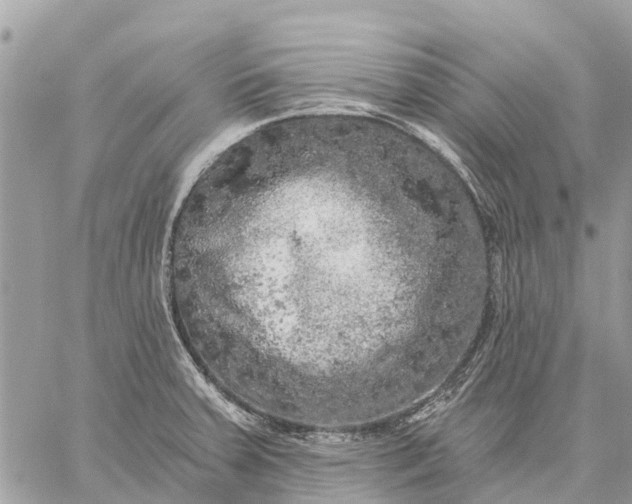 X0000059101379200510211621