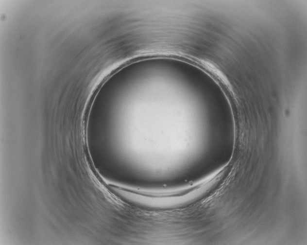 X0000059101380200510211621