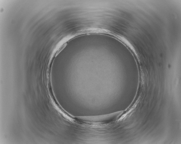 X0000059101381200510211621