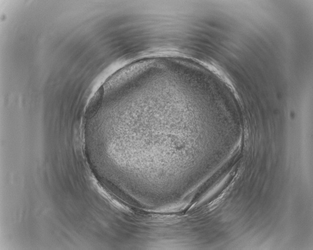 X0000059101382200510211621