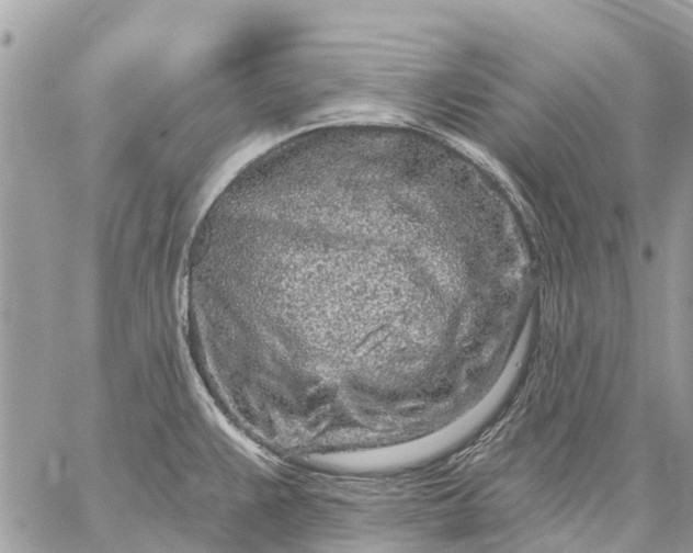 X0000059101383200510211621