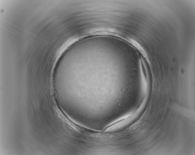 X0000059101384200510211621