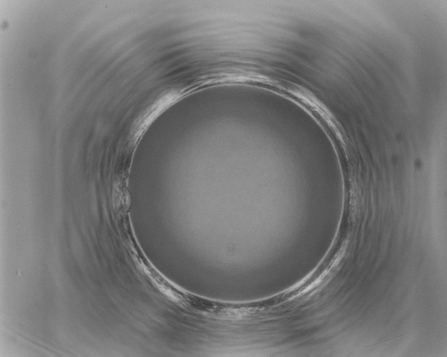 X0000059101385200510211621