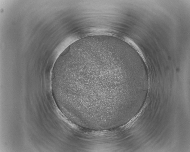 X0000059101386200510211621