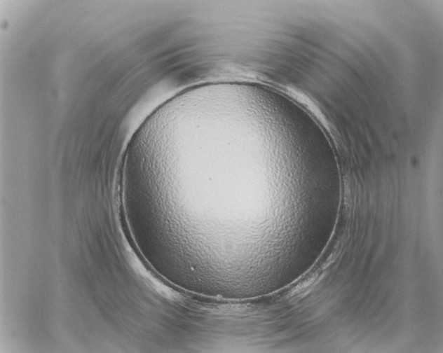 X0000059101387200510211621