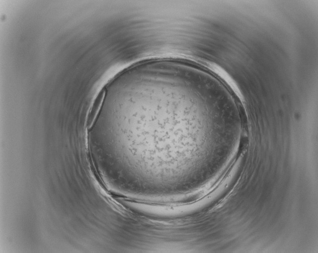 X0000059101388200510211621