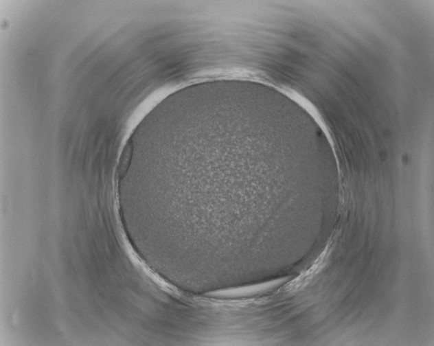 X0000059101389200510211621