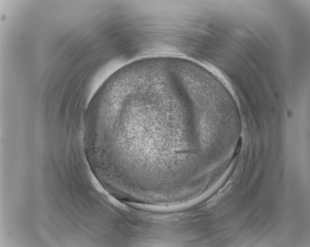 X0000059101390200510211621