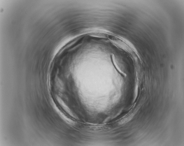 X0000059101391200510211621