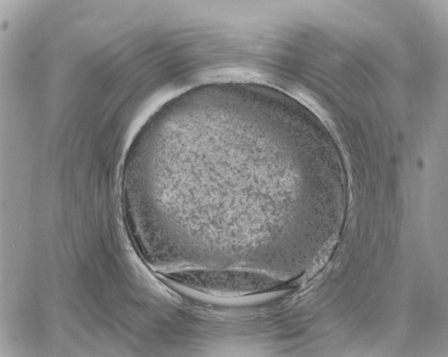 X0000059101392200510211621