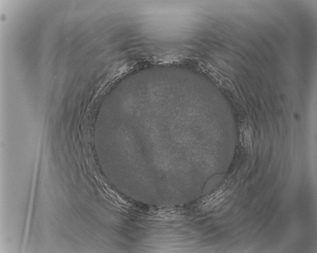 X0000059101393200510211620