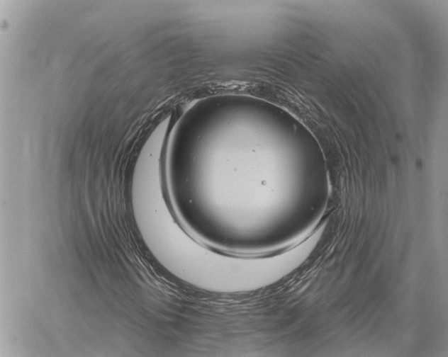 X0000059101394200510211620