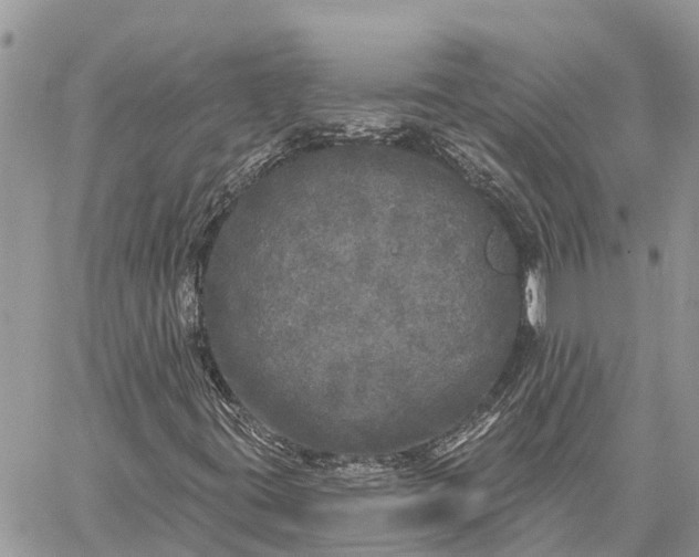 X0000059101395200510211620