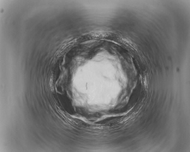 X0000059101396200510211620