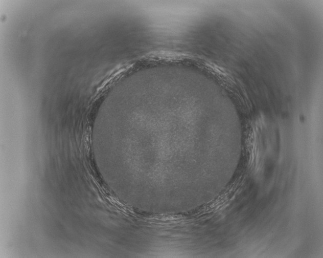 X0000059101397200510211620