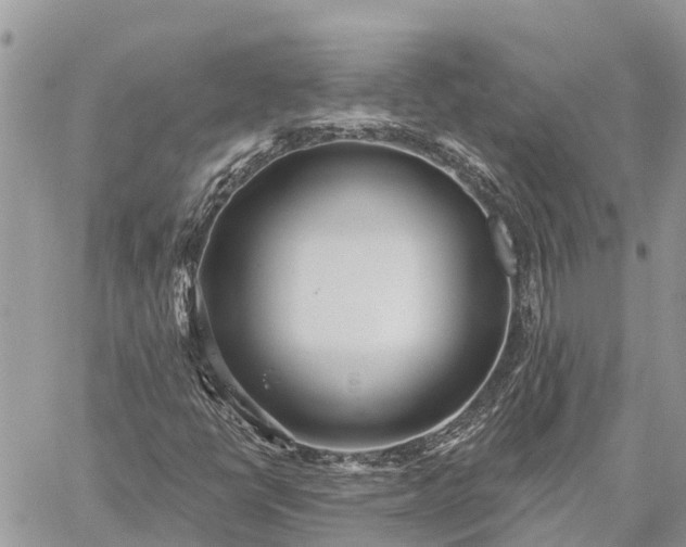 X0000059101398200510211620