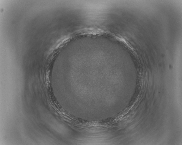 X0000059101399200510211621