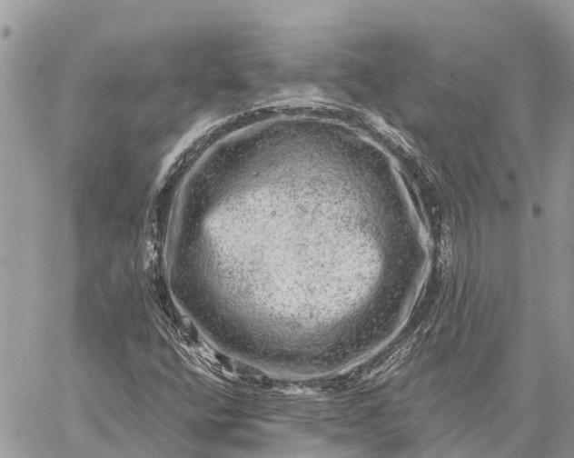 X0000059101400200510211621